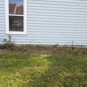 Bush Trimming by Property Enhancements reviewed on October 24, 2025