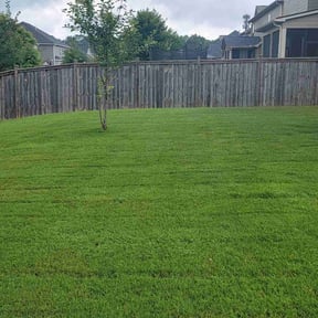 yard care by Krumm Kutters Lawn Care reviewed on April 30, 2024