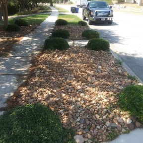 Bush Trimming by Danzey junk removal Moving &amp; More LLC reviewed on November 18, 2025