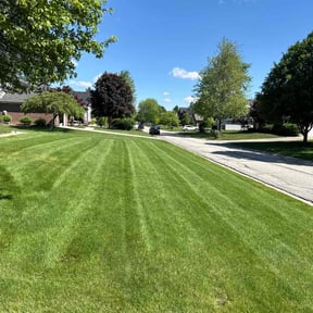 turf care by Fresh Cut Lawn Care reviewed on July 7, 2025