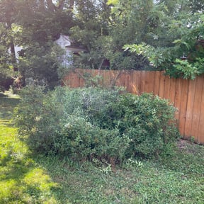 Bush Trimming by Good Guys Lawn and Fence reviewed on August 16, 2025