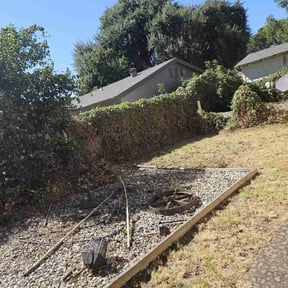 Bush Trimming by Pop and Son-Get it Done reviewed on August 18, 2025