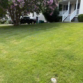 yard work by Johnson Services reviewed on August 16, 2025