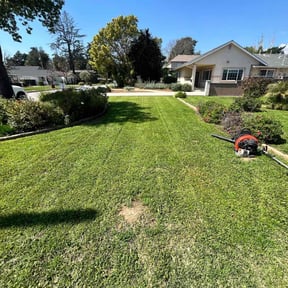 turf maintenance by Ricardo Garcia reviewed on December 13, 2024