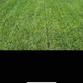 yard maintenance by HorsePower Lawncare reviewed on August 15, 2025