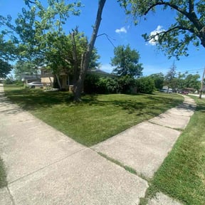 yard service by Ultimate Lawn Care reviewed on August 16, 2025