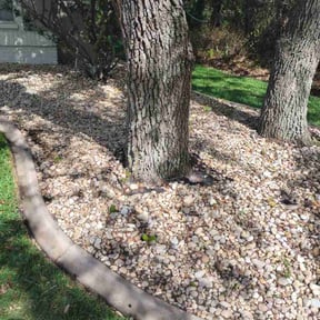 Leaf Removal by Scott Basinger lawn care reviewed on April 27, 2026