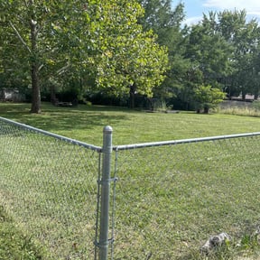 grass cutting by T&j lawn care reviewed on June 22, 2025