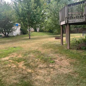 Leaf Removal by Main Cutt reviewed on August 14, 2026