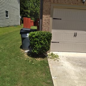Bush Trimming by Cardos Services LLC reviewed on August 19, 2025