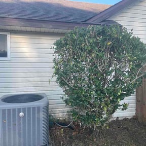 Bush Trimming by Rodney 's lawncare reviewed on March 29, 2026