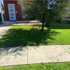 yard care by The garden friends reviewed on August 16, 2025