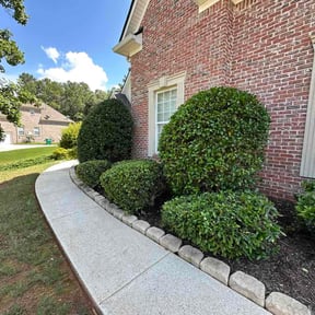 Bush Trimming by Wireless dock store llc reviewed on July 5, 2026