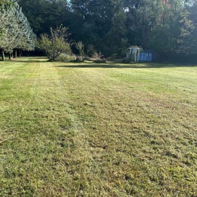 turf care by Dlawncare reviewed on September 19, 2023