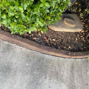 Flower Bed Weeding by Yeoman Handyman Service reviewed on November 27, 2025