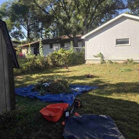 Bush Trimming by Caliber Lawn and Garden reviewed on August 17, 2025