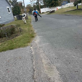 Flower Bed Weeding by D’s Landscaping reviewed on November 18, 2025