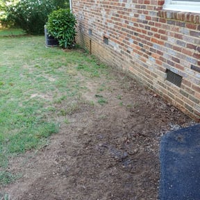 Leaf Removal by Hopkins Lawn Care Service reviewed on August 20, 2025