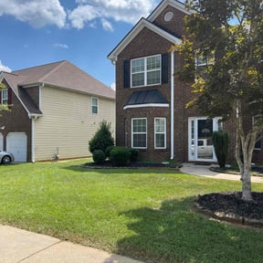 landscaping services by AA&amp;N lawn service reviewed on June 1, 2023