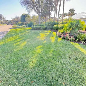 lawn maintenance by C L O V E R reviewed on May 19, 2025