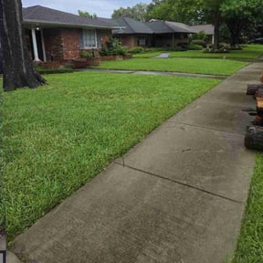 gardening service by EL Concrete Construction LLC reviewed on August 15, 2025