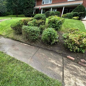 Flower Bed Weeding by Diesel Dog Lawn Care LLC reviewed on August 20, 2025