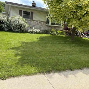 residential landscaping by Higgins property and vehicle maintenance reviewed on August 16, 2025