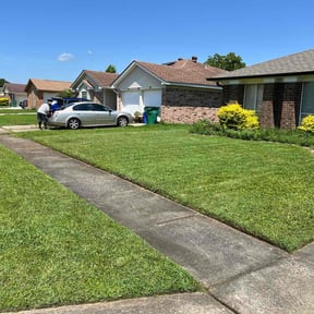 yard work by Everything you need LLC reviewed on August 19, 2025