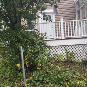 Bush Trimming by Lawns Murcia Landscaping reviewed on April 16, 2024