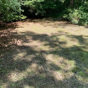 Leaf Removal by (RO'S)Landscape Company reviewed on September 17, 2025