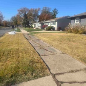 Leaf Removal by Tsafaridis Landscaping Construction reviewed on November 23, 2025