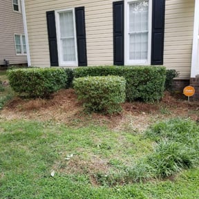 Bush Trimming by Three E's Lawn Care LLC. reviewed on August 18, 2025