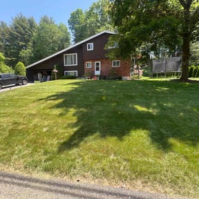 grass maintenance by Carlos Tapia reviewed on July 17, 2022