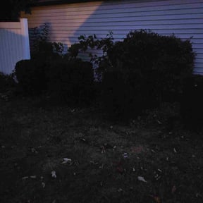 Bush Trimming by JC Landscape Seattle reviewed on October 21, 2025