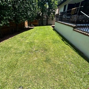 yard maintenance by Great Earth Property Maintenance reviewed on January 25, 2026