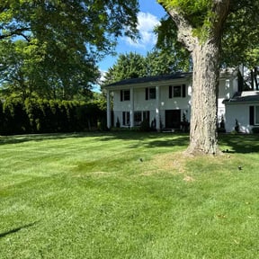 yard care by Aces property services reviewed on August 19, 2025