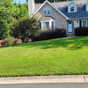 grass maintenance by Onyx Blade Lawncare reviewed on October 26, 2023