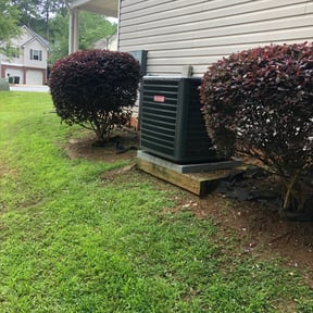 Bush Trimming by Brandons lawn care reviewed on November 22, 2025