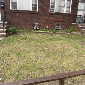 Bush Trimming by B&t lawn service reviewed on August 21, 2025