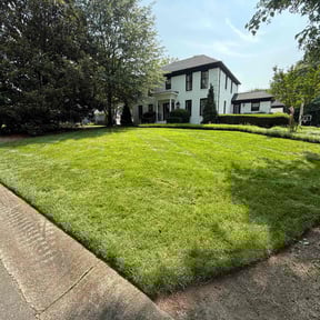 landscaping services by K-Kleaners LLC reviewed on August 19, 2025