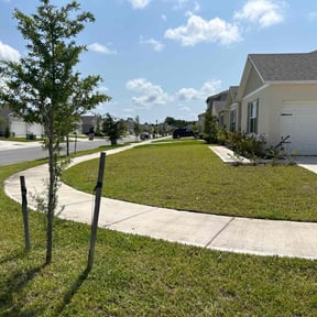turf care by Swartz Lawn & Property Maintenance reviewed on September 7, 2023