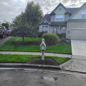 yard work by It's Dubble Better Lawn &amp; haul reviewed on December 6, 2025