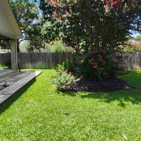 turf care by Brian Fritts reviewed on August 16, 2025