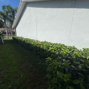 Bush Trimming by Peak Lawns LLC reviewed on August 24, 2026