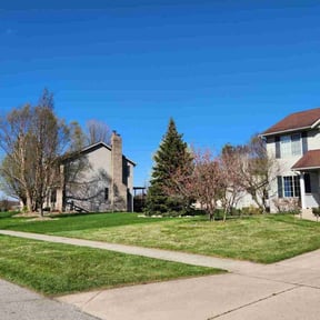 landscaping by K Squared Property Services reviewed on August 17, 2025