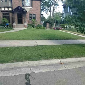 lawn maintenance by GB's Lawn Services reviewed on August 3, 2024
