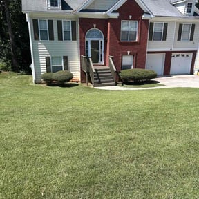 Bush Trimming by STR Lawn and Landscape LLC reviewed on November 4, 2025