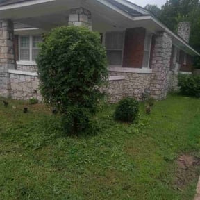 Bush Trimming by Texas Best Lawn and Farm reviewed on August 20, 2025