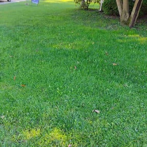 landscaping by Andrew James Property Maintenance reviewed on December 28, 2025