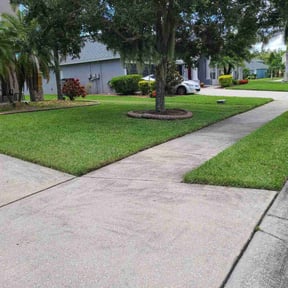 yard service by Ashe and Sons Landscaping reviewed on January 7, 2026